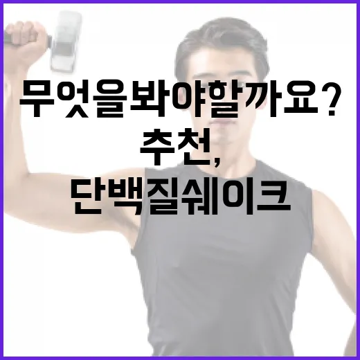 단백질쉐이크추천, 내 몸에 맞게 고르려면 무엇을 봐야 할까요? - 요약