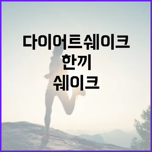 다이어트쉐이크, 한 끼로 마셔도 괜찮을까요? - 요약