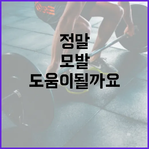 모발영양제, 정말 머리카락에 도움이 될까요? - 요약