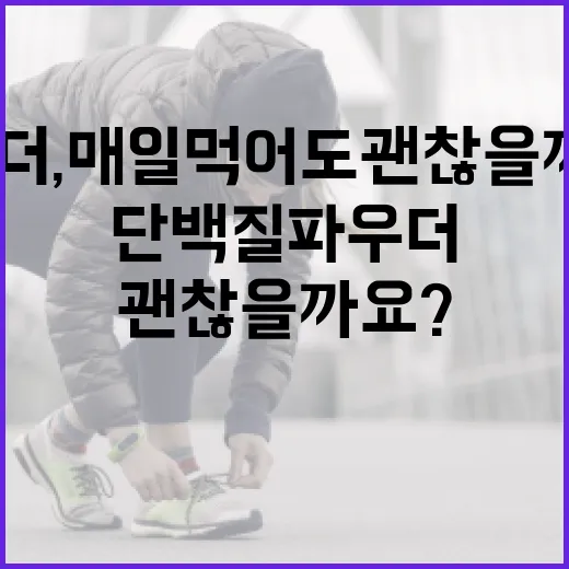 단백질파우더, 매일 먹어도 괜찮을까요? - 요약