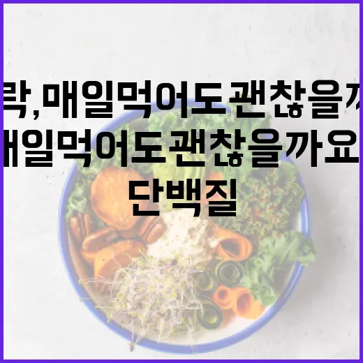 단백질도시락, 매일 먹어도 괜찮을까요? - 요약