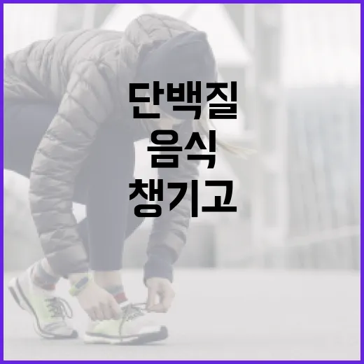 단백질음식, 매 끼니 얼마나 챙기고 계신가요? - 요약