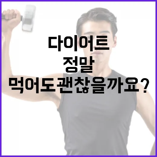 다이어트소스, 정말 마음 놓고 먹어도 괜찮을까요? - 요약