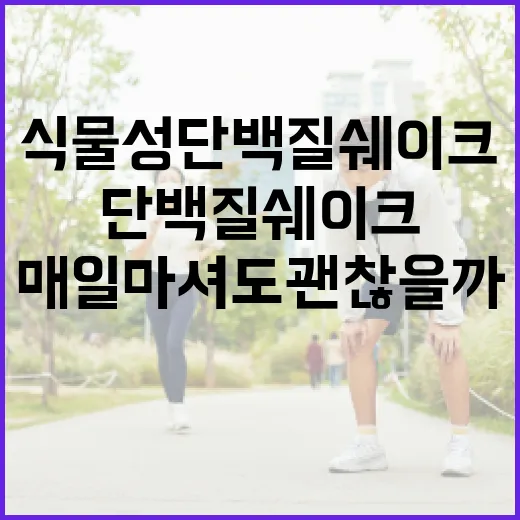 식물성단백질쉐이크, 매일 마셔도 괜찮을까요? - 요약