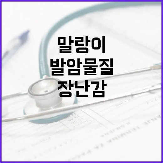 말랑이 장난감, 발암물질 걱정해도 될까요? - 요약