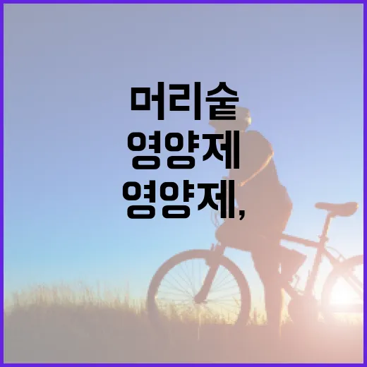 머리영양제, 정말 먹으면 머리숱에 변화가 생길까요? - 요약