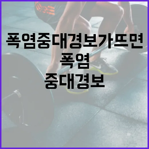 폭염중대경보가 뜨면 우리 몸은 어디부터 위험해질까요? - 요약