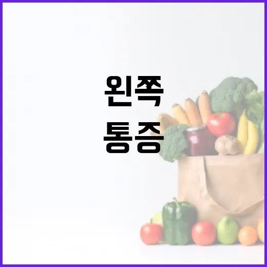 용인 비위치가 궁금하신가요? 왼쪽 윗배 통증을 차분히 보는 법 - 요약