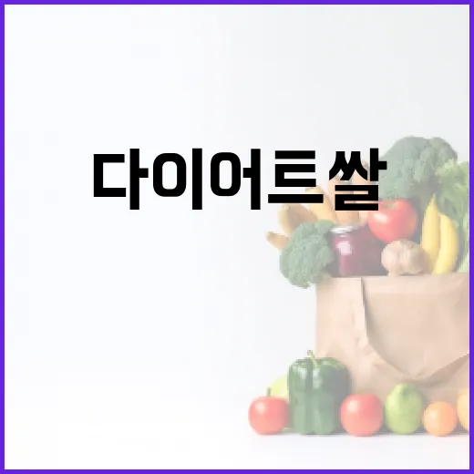 다이어트쌀, 정말 밥을 먹으면서 체중 관리가 가능할까요? - 요약