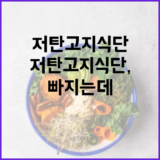 저탄고지식단, 살은 빠지는데 계속 해도 괜찮을까요? - 요약
