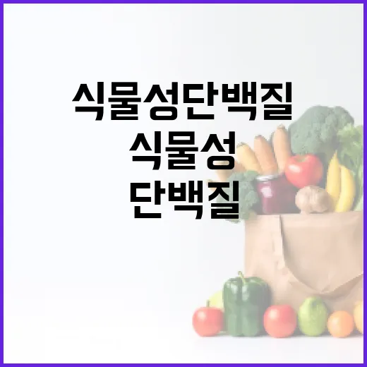 식물성단백질, 고기 대신 먹어도 괜찮을까요? - 요약