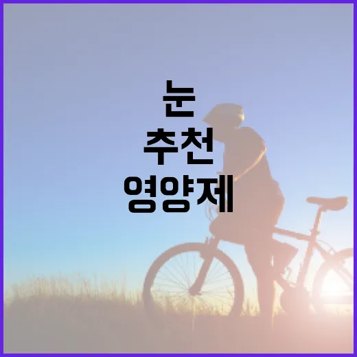 눈영양제추천, 루테인만 보면 괜찮을까요? - 요약