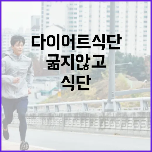 저녁다이어트식단, 굶지 않고 가볍게 먹으려면 어떻게 짜야 할까요? - 요약