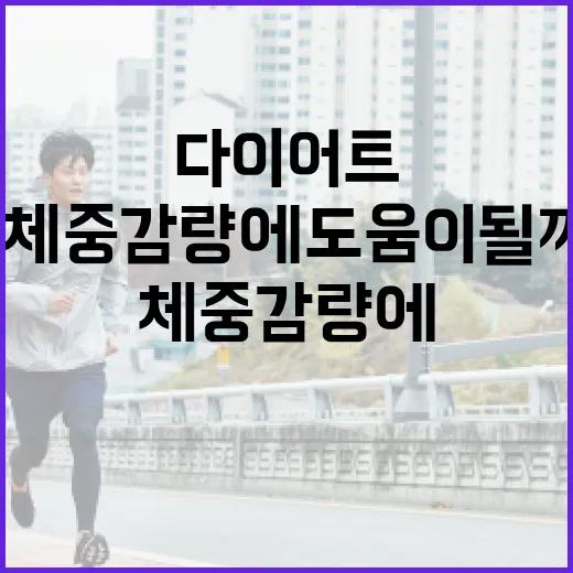다이어트효소, 정말 체중 감량에 도움이 될까요? - 요약
