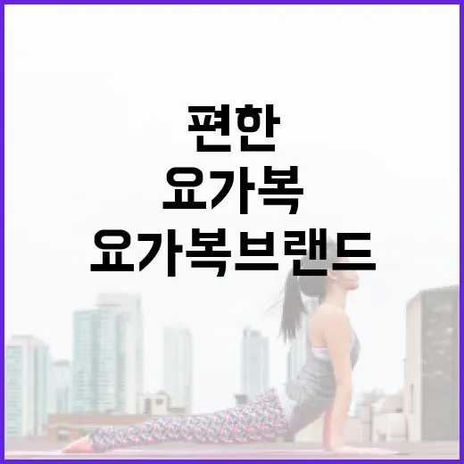 요가복브랜드 고를 때, 몸에 편한 옷은 어떻게 찾고 계신가요? - 요약