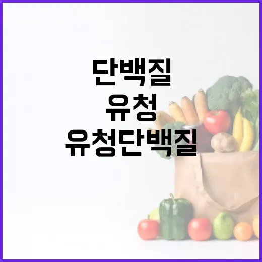 유청단백질, 매일 먹어도 괜찮을까요? - 요약