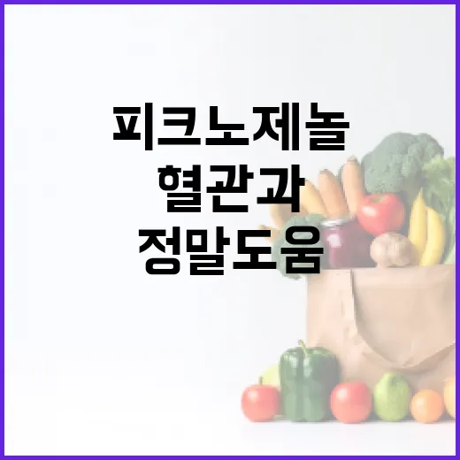 피크노제놀, 혈관과 항산화에 정말 도움이 될까요? - 요약