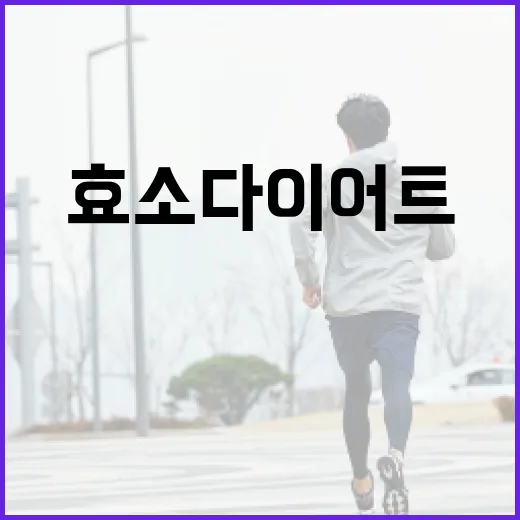 효소다이어트, 정말 살이 빠지는 원리가 맞을까요? - 요약