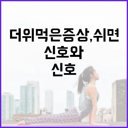 더위 먹은 증상, 쉬면 괜찮은 신호와 바로 병원 갈 신호는 어떻게 다를까요? - 요약