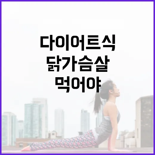 다이어트식, 닭가슴살만 먹어야 한다고 생각하고 계신가요? - 요약