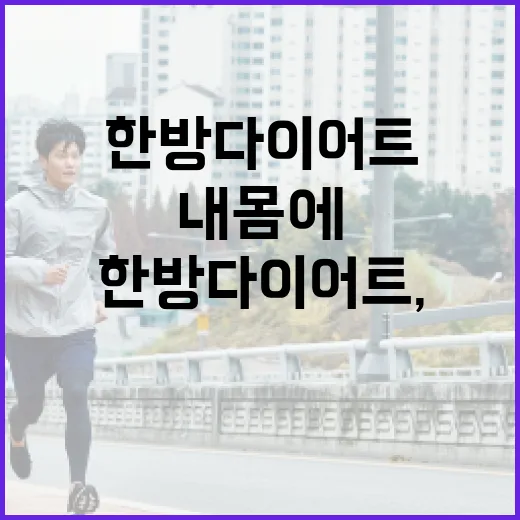 한방다이어트, 내 몸에 맞으면 정말 덜 힘들까요? - 요약