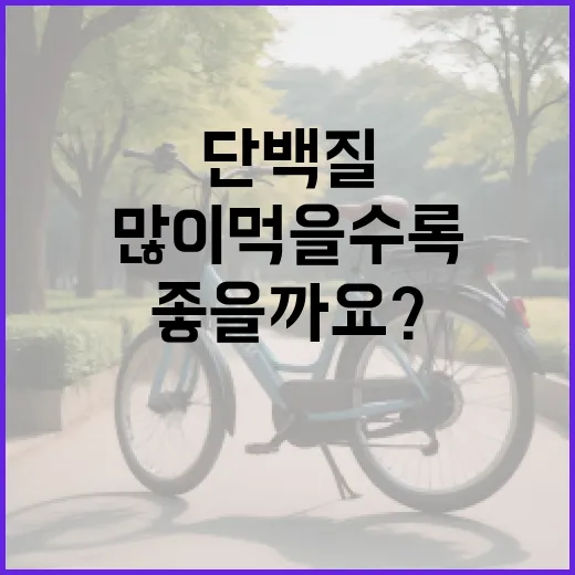 단백질음식, 많이 먹을수록 몸에 좋을까요? - 요약