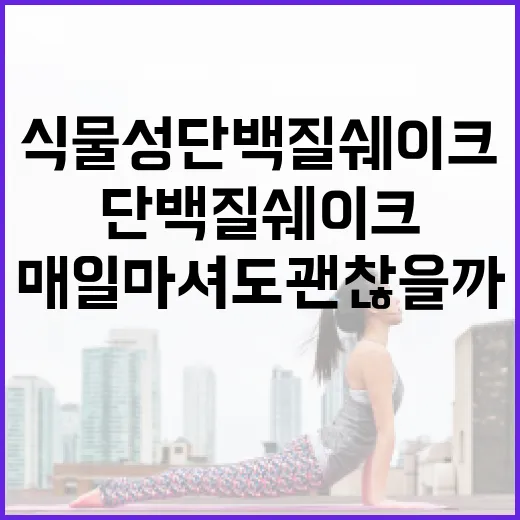 식물성단백질쉐이크, 매일 마셔도 괜찮을까요? - 요약