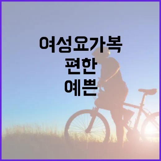 여성요가복, 예쁜 것보다 몸이 편한 기준이 궁금하신가요? - 요약
