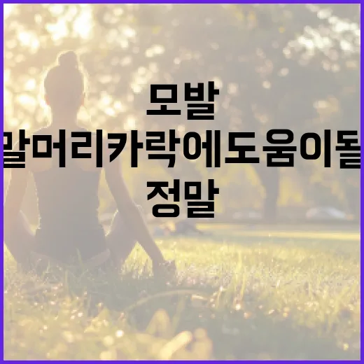 모발영양제, 정말 머리카락에 도움이 될까요? - 요약