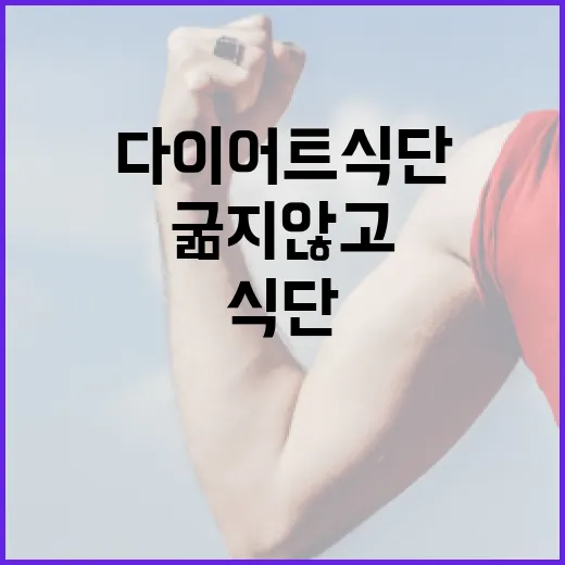 저녁다이어트식단, 굶지 않고 가볍게 먹으려면 어떻게 해야 할까요? - 요약