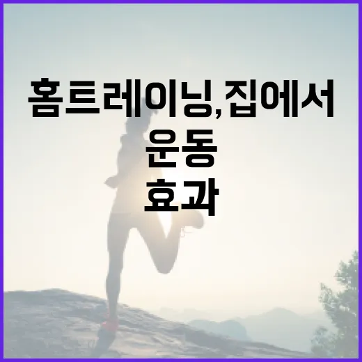 홈트레이닝, 집에서 시작해도 운동 효과를 볼 수 있을까요? - 요약