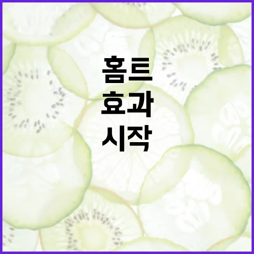 홈트, 매일 해야 효과가 날까요? 내 몸에 맞게 시작하는 기준이 궁금하신가요? - 요약