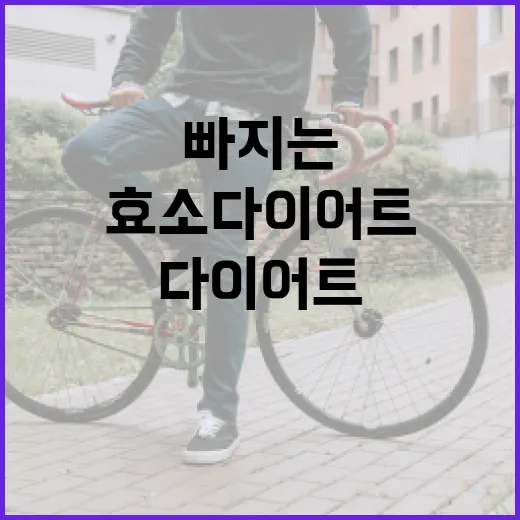 효소다이어트, 정말 살이 빠지는 이유가 따로 있을까요? - 요약