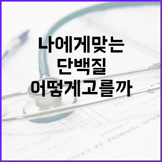 단백질쉐이크추천, 나에게 맞는 제품은 어떻게 고를까요? - 요약
