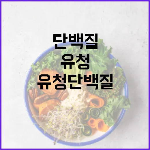 유청단백질, 매일 먹어도 괜찮을까요? - 요약