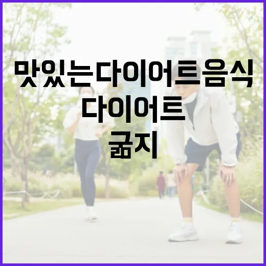 맛있는다이어트음식, 굶지 않고도 오래 갈 수 있을까요? - 요약