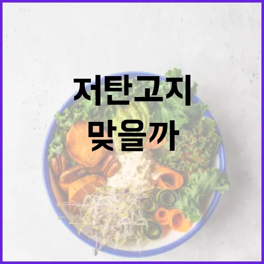 저탄고지, 살은 빠진다는데 제 몸에도 맞을까요? - 요약