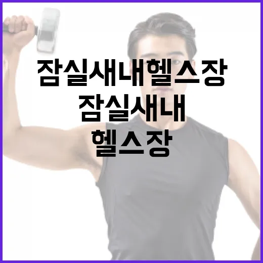 잠실새내헬스장 고를 때, 내 몸에 맞는 기준이 궁금하신가요? - 요약