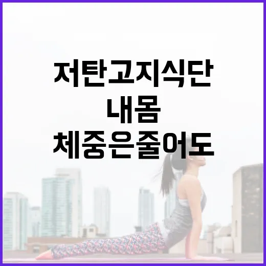 저탄고지식단, 체중은 줄어도 내 몸에 맞고 계신가요? - 요약