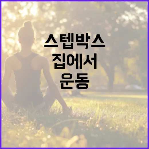 스텝박스운동, 무릎이 걱정되는데 집에서 해도 괜찮을까요? - 요약
