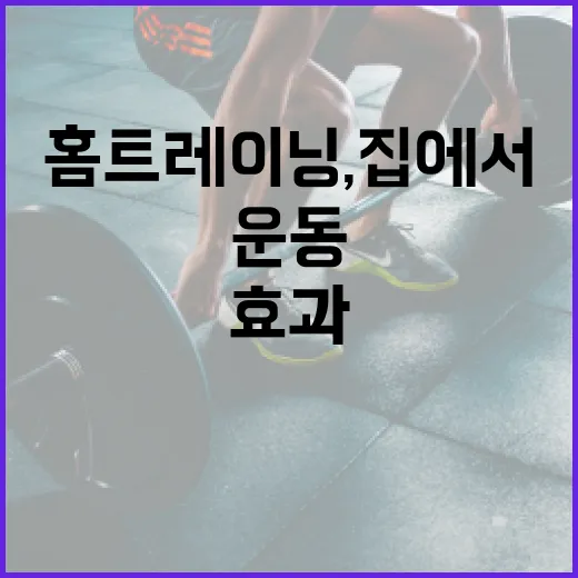 홈트레이닝, 집에서 시작해도 운동 효과가 있을까요? - 요약