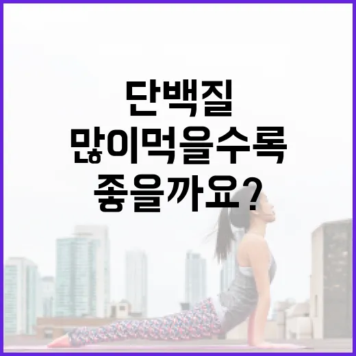 단백질음식, 많이 먹을수록 몸에 좋을까요? - 요약