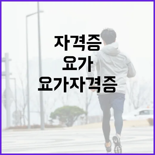 요가자격증, 건강까지 다루려면 무엇을 확인하고 계신가요? - 요약