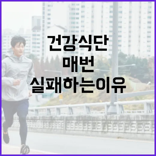 건강식단, 매번 실패하는 이유가 너무 엄격해서일까요? - 요약