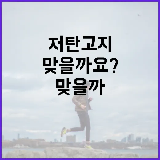 저탄고지, 살은 빠진다는데 내 몸에도 맞을까요? - 요약