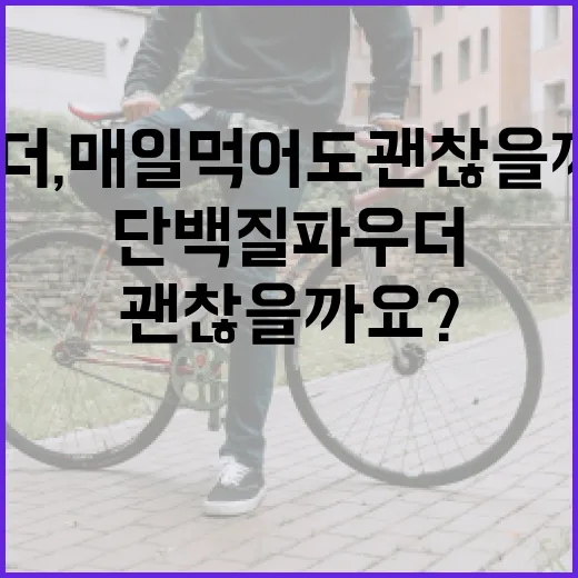 단백질파우더, 매일 먹어도 괜찮을까요? - 요약
