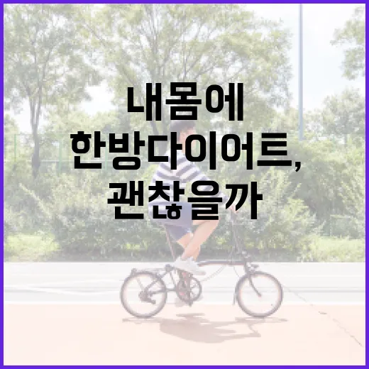 한방다이어트, 내 몸에 맞게 시작해도 괜찮을까요? - 요약