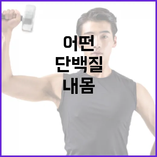 단백질추천, 내 몸에는 어떤 기준이 맞을까요? - 요약