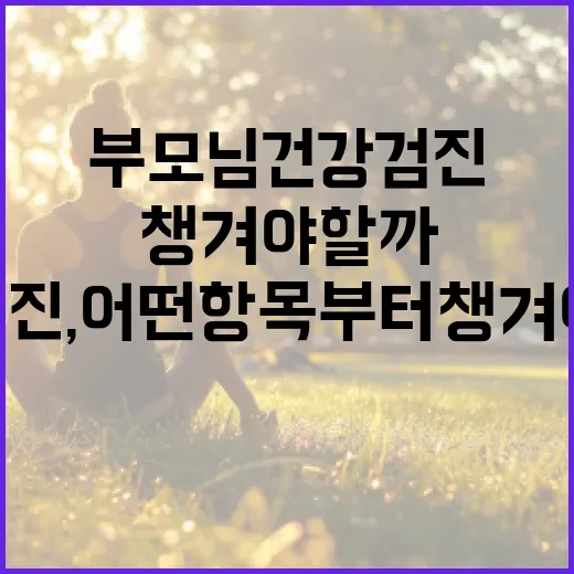 부모님건강검진, 어떤 항목부터 챙겨야 할까요? - 요약