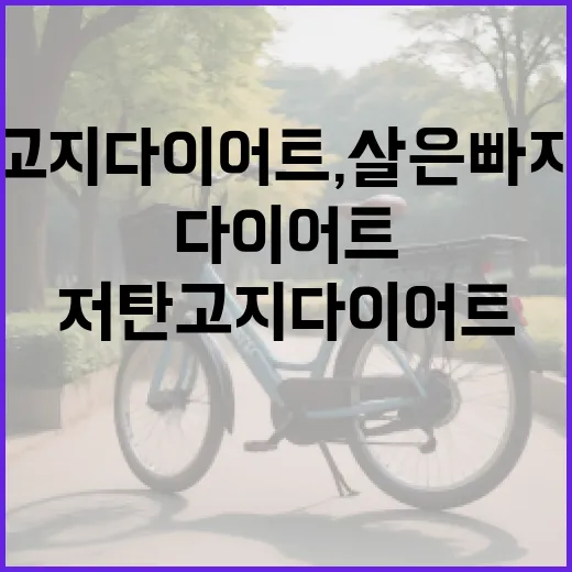 저탄고지다이어트, 살은 빠지는데 계속 해도 괜찮을까요? - 요약
